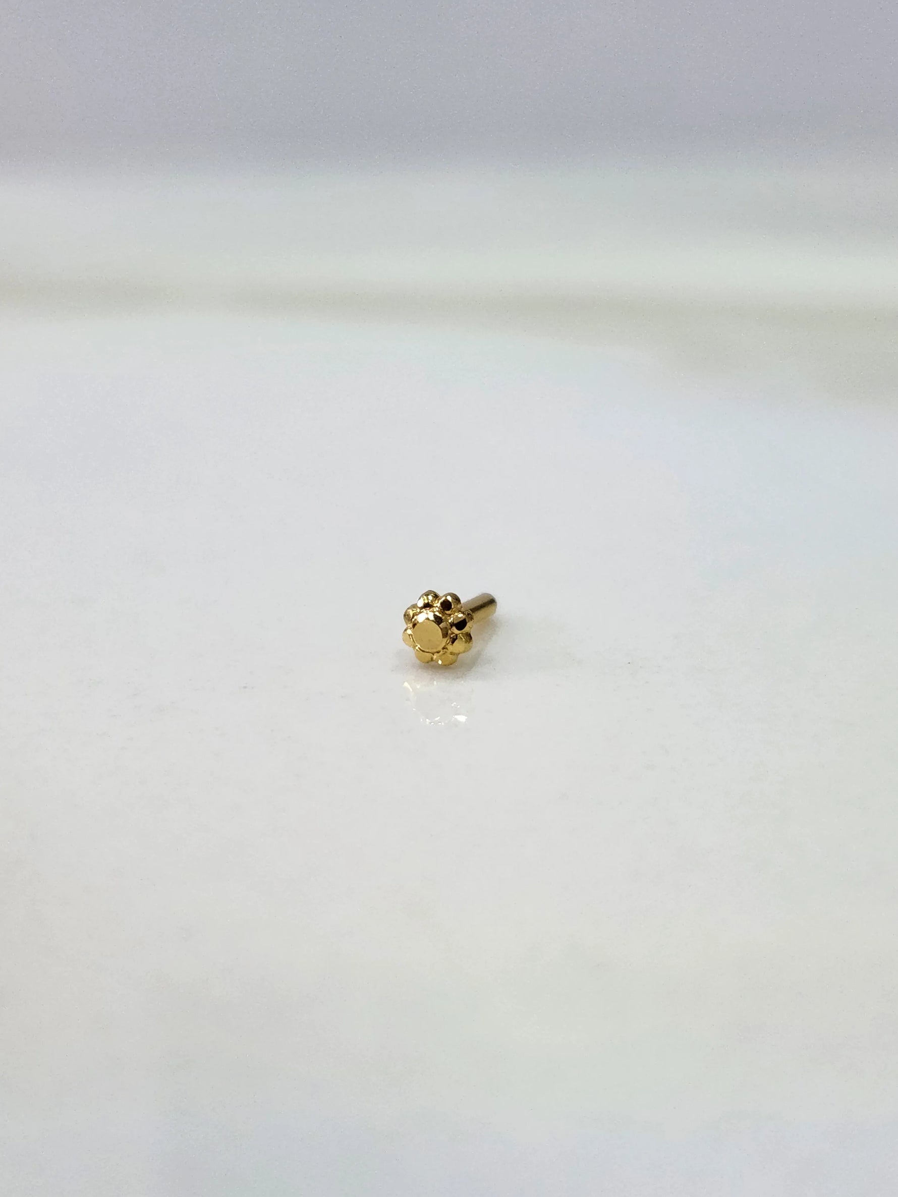 Front view of a small gold nose pin on a white background displaying its compact design